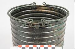 Foto von Bronzerippenciste (NHMW-PRAE-025983)